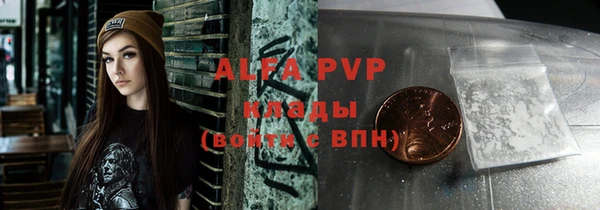 шишки Абаза